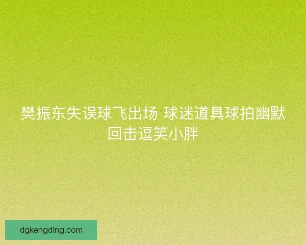 樊振东失误球飞出场 球迷道具球拍幽默回击逗笑小胖 樊振东失误球飞出场 球迷道具球拍幽默回击逗笑小胖