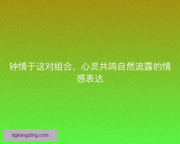 钟情于这对组合，心灵共鸣自然流露的情感表达