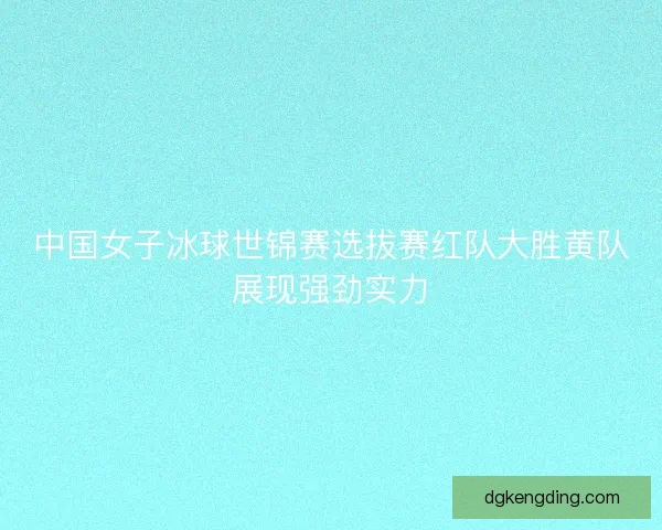 中国女子冰球世锦赛选拔赛红队大胜黄队展现强劲实力