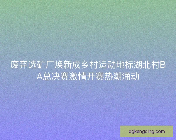 废弃选矿厂焕新成乡村运动地标湖北村BA总决赛激情开赛热潮涌动